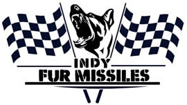 indyteambuilding.com